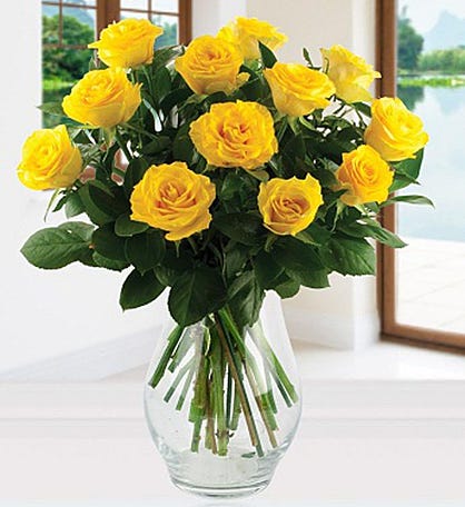Twelve Yellow Roses